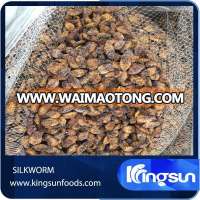 Dry Frozen Cooked Silk Worm