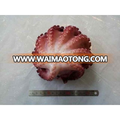 Cleaned octopus frozen flower shaped